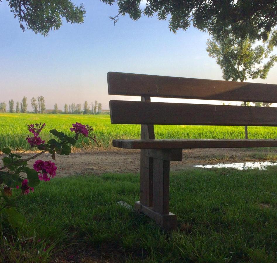 Allotjament Rural Illa De Mar Deltebre Kültér fotó